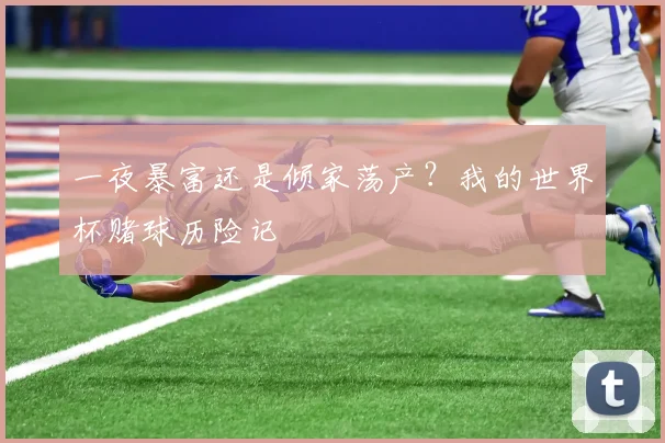 一夜暴富还是倾家荡产？我的世界杯赌球历险记