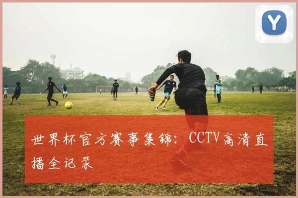 世界杯官方赛事集锦：CCTV高清直播全记录
